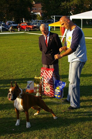 www.boxer-show.eu